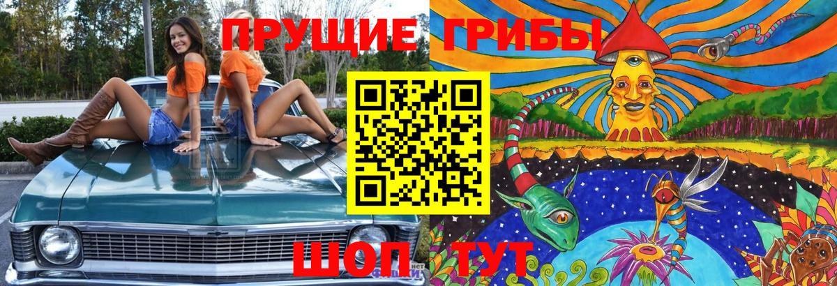 Тула  Галлюциногенные грибы GOLDEN TEACHER  Вход с VPN 
